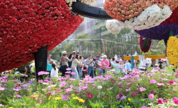 2024花卉园艺展览会 世界园艺博览会是一个什么样的活动