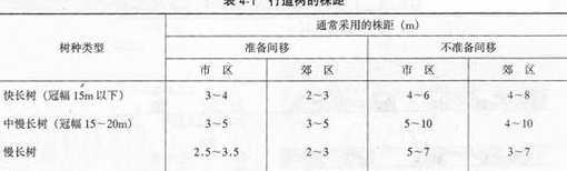 行道树株距一般为多少 行道树的种植距离是多少米