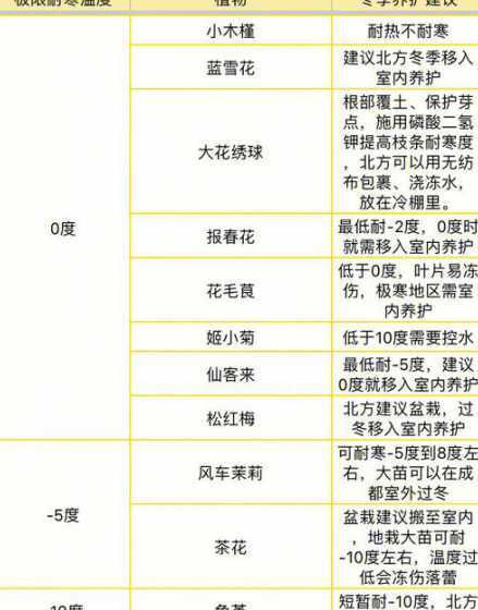 七叶树种植温度是多少 七叶树怎么种植七叶树栽培技术