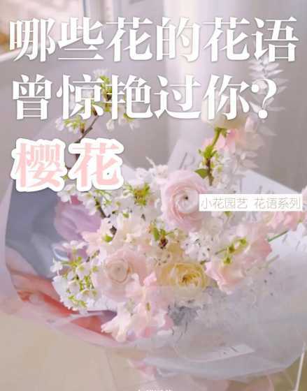 樱花的花语表示是什么 樱花代表什么含义