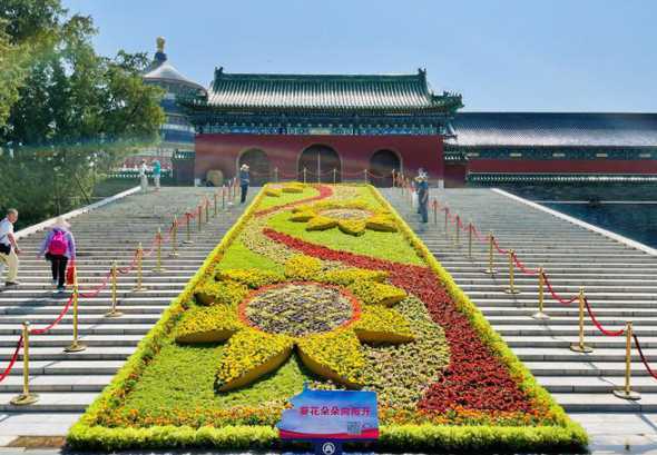 盛花花坛以什么为主题 为了达到四季能观赏,盛花花坛每个季节选什么花