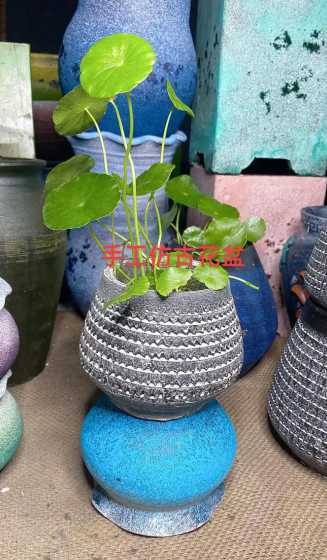 仿古花盆适合养什么花 紫砂色花盆配什么颜色的花