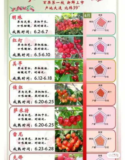 秋天什么时间种植樱桃 什么季节可以适合种樱桃