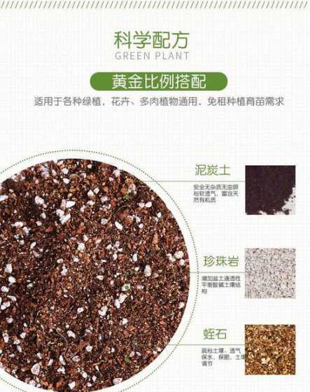 兰花专用土都包括什么 兰花专用营养土是什么