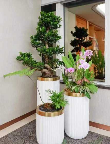 室内盆花组合怎么设计 室内绿化怎么装饰设计好