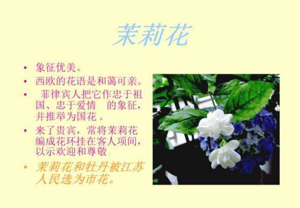 茉莉花用什么繁殖后代 茉莉花怎么繁殖
