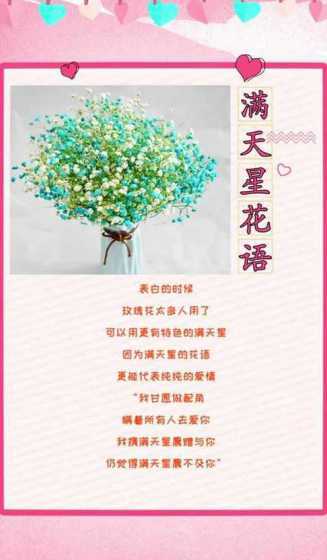 为什么叫满天星花语叫 满天星原名为“重瓣丝石竹”,满天星的花语和寓意是什么呢