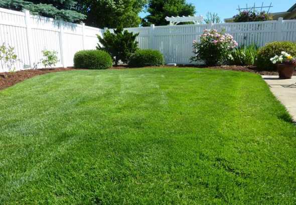 美国庭院一般种什么草 别墅庭院最适合种什么样的草