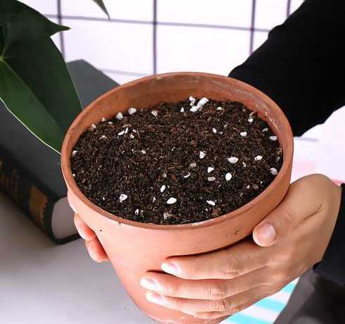普通盆栽用什么土质好 盆栽花卉选用什么样的土壤好