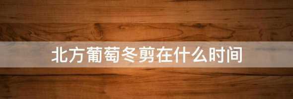 北方葡萄什么时间过冬 北方葡萄树如何过冬
