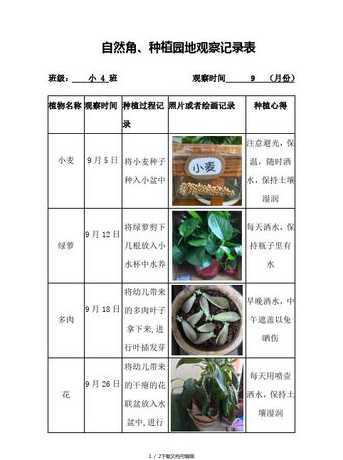 绿萝在什么季节生长 绿萝在什么季节生长的很旺盛种植时需要注意水肥管理吗