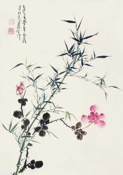 竹花的含义和代表什么 竹子代表什么含义