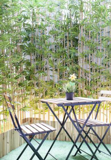 庭院里面种什么竹子好 庭院种什么竹子好(庭院栽种什么竹子好)