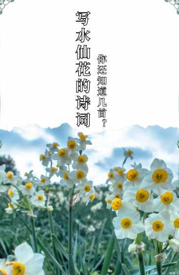 水仙的花语是什么语言 水仙花花语和寓意