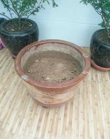 花盆坏了怎么补救最快 烧坏的黑陶花盆怎么处理