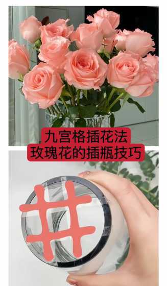 白玫瑰怎么插瓶怎么养 白玫瑰怎么养时间比较久 白玫瑰可以养多久