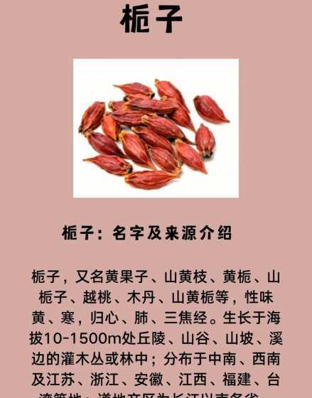 栀子的叶子有什么好处 栀子花的功效与作用