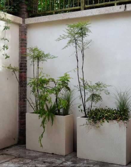 种花箱可以种什么植物 花箱应该栽种哪些植物较为合适