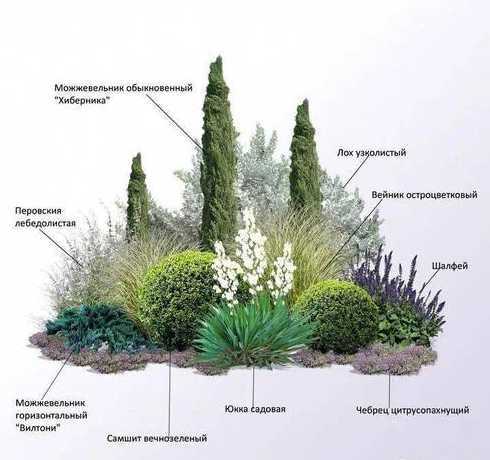 植物配置的方式有哪些 园林植物的自然式配置的形式有哪些