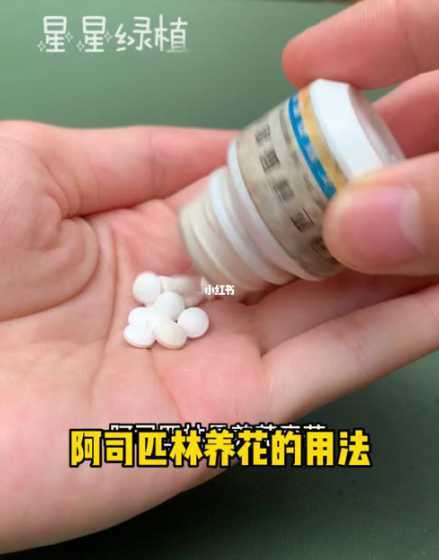 阿司匹林适用于什么花 阿斯匹林适用养哪些花,阿司匹林对花卉植物的神奇作用