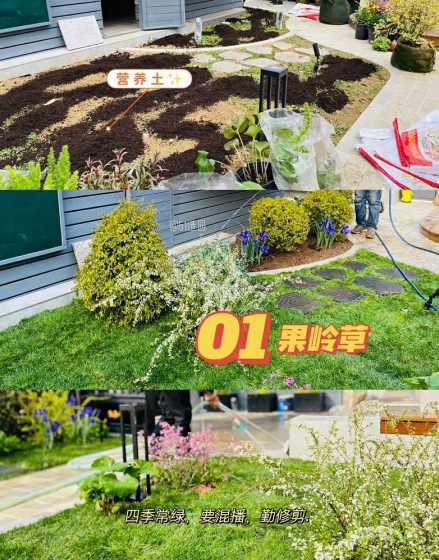 果岭草跟百慕大哪个贵 果岭草和百慕大哪个好