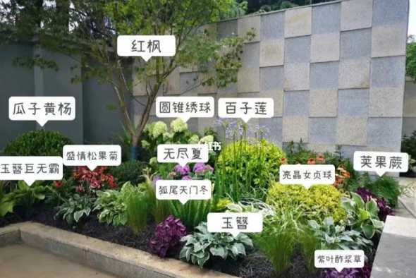 花镜配置常用哪些植物 花镜怎么配植物