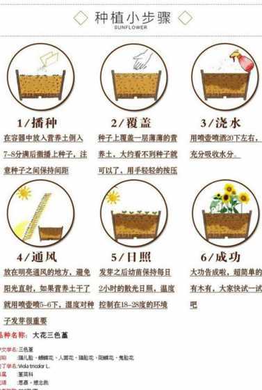 花草种子发芽后怎么种植 草莓种子发芽后怎么种植(关于草莓的养护方法)