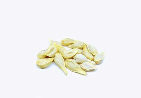 橘子的种子是怎么样的 橘子用种子怎样种出来