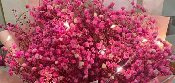 对红的花语是什么意思 对红花语及寓意