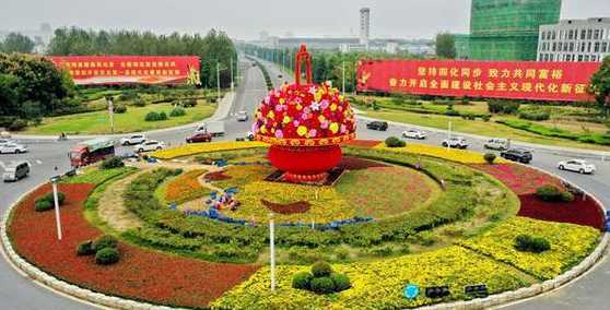 沭阳县花卉基地有哪些 沭阳县凌霄花卉园艺场怎么样