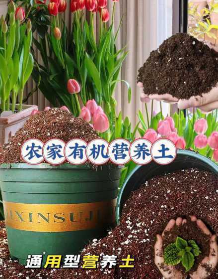 有机营养土种花怎么样 种花的营养土能种菜吗\