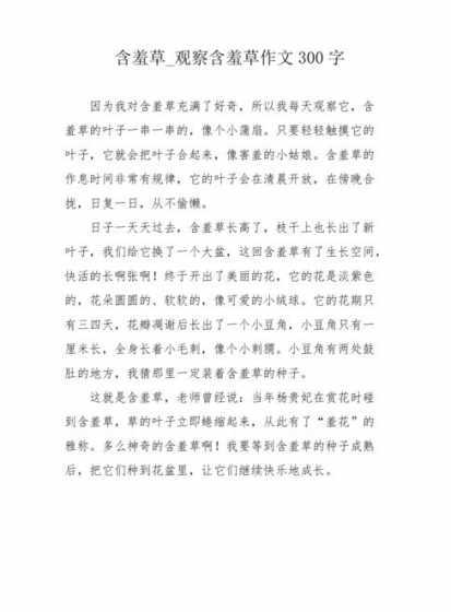 我想养含羞草因为什么 含羞草作文