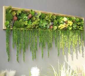 有什么植物可以粘住墙 这种是什么植物,破坏力太强了,根都长到墙内了