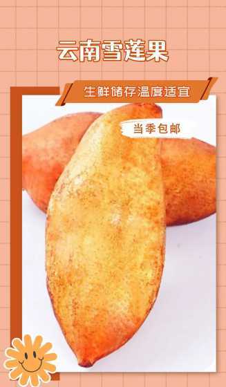 雪莲果怎么吃怎么储存 雪莲果怎样保存长久不烂