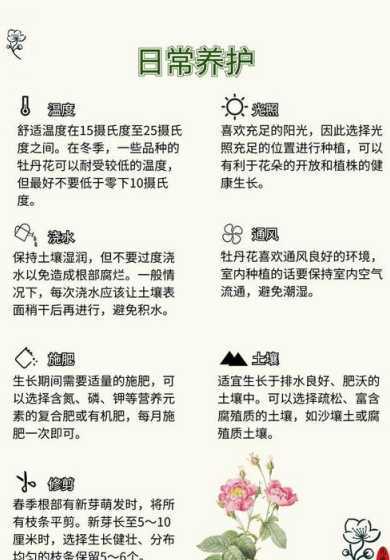 牡丹花怎么养家庭养法 牡丹花怎么养家庭养法(家庭盆栽牡丹种植方法)