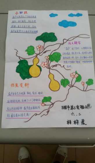 葫芦的生长主要靠什么 葫芦要靠什么制造养料