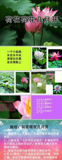 荷花什么时候开花几点 荷花几点钟开放