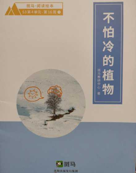 为什么有些植物不怕冻 不怕冷的植物有哪些为什么他们不怕冷