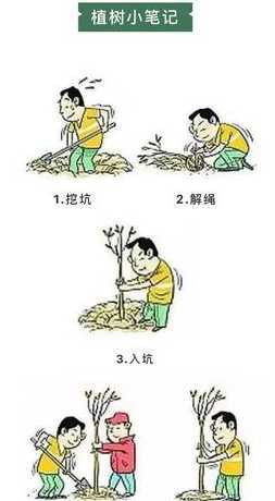 春天什么时候移栽树木 冬季什么时候移栽树木最好,秋冬季移栽树木最佳什么时候