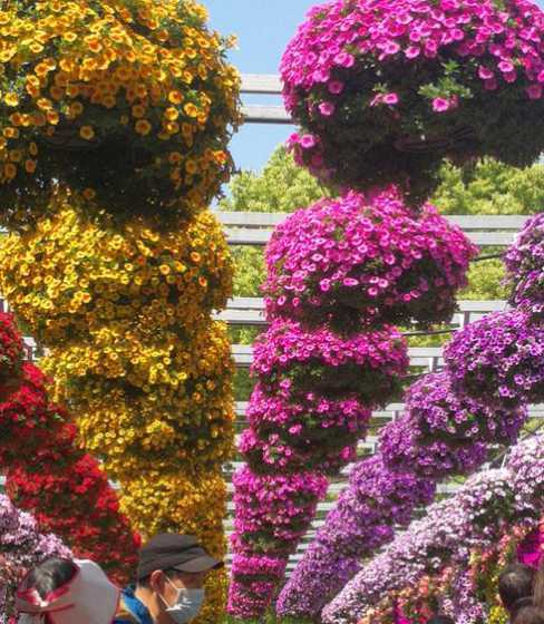 2024上海国际花卉展 上海市展览中心行政级别