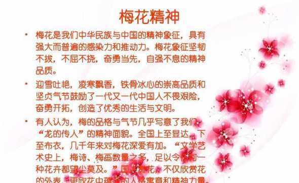 梅花的象征是什么意义 梅花的象征意义