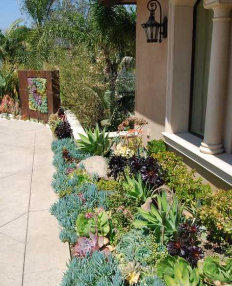 冬季园子里适合种什么 北方地里适合种什么花