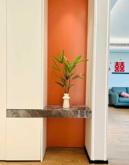 室内放棕竹有什么好处 棕竹适合在室内养吗