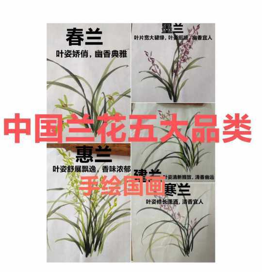 兰草按季节有什么叫法 兰草如何按季节施肥