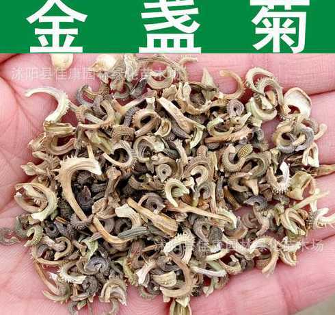 金盏菊的种子怎么采摘 金盏菊的种子要怎么种