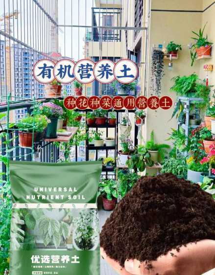 营养土放干了怎么种花 买来的营养土可以直接用来种花吗