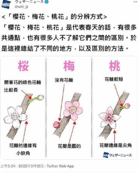 红梅和冬梅有什么区别 腊梅与蜡梅有什么区别