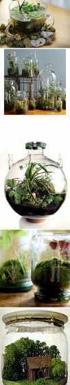 空玻璃瓶子种什么植物 瓶子能做什么样的手工