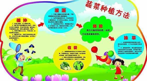 蔬菜盆栽怎么种植方法 家庭盆栽蔬菜应该怎么种