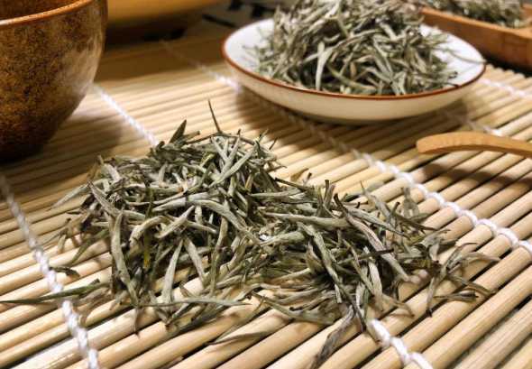 兰草花怎么养殖茶叶水 如何养殖兰花